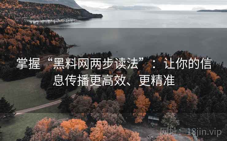掌握“黑料网两步读法”：让你的信息传播更高效、更精准