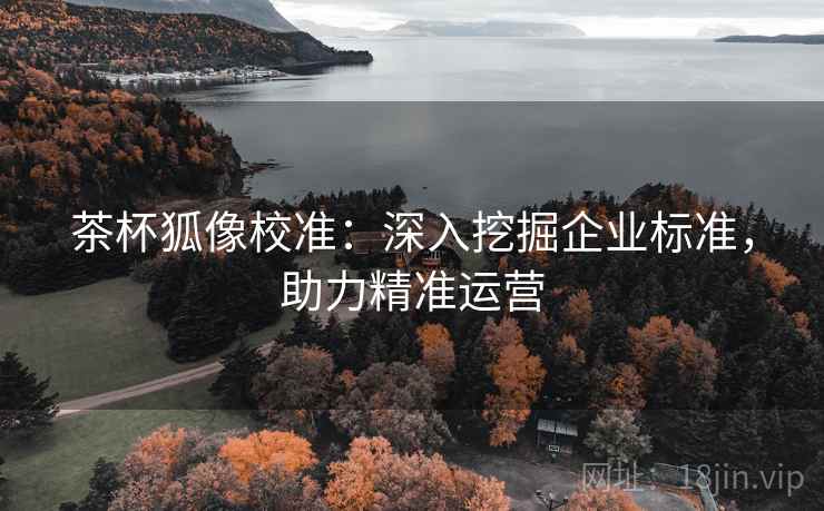 茶杯狐像校准：深入挖掘企业标准，助力精准运营